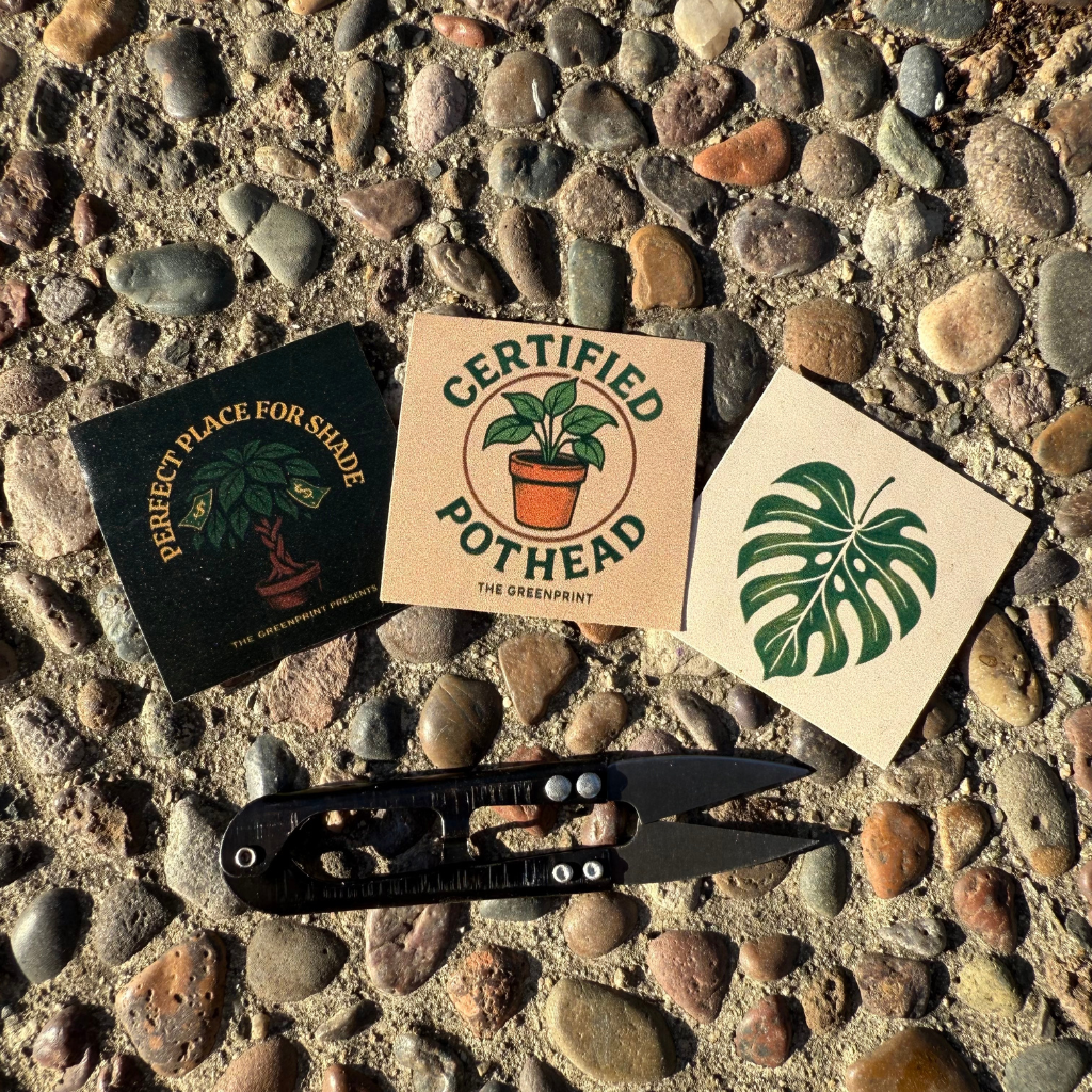 Beginner Friendly Bundle