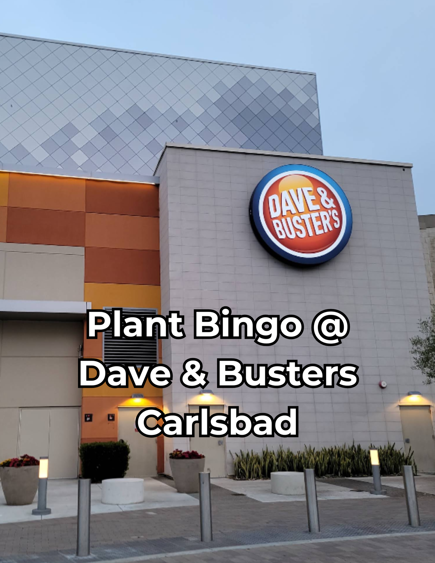 Plant Bingo 9/9/26 @ Dave and Busters Carlsbad