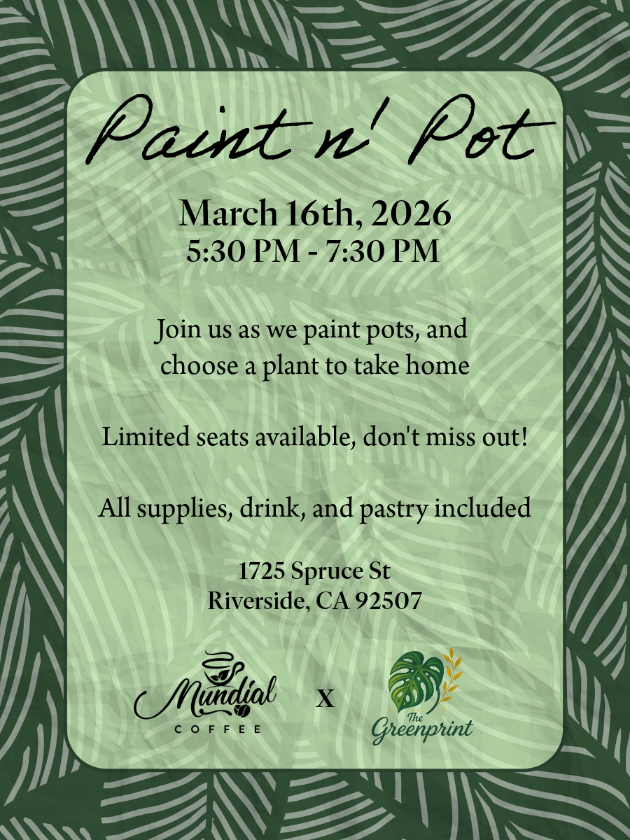 Paint n Pot 3/16/26 @ Mundial Coffee