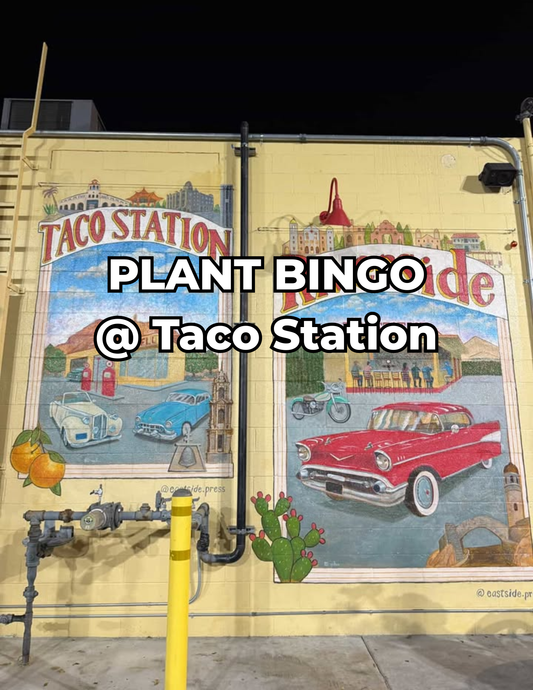 Plant Bingo 3/29/26 @ Taco Station