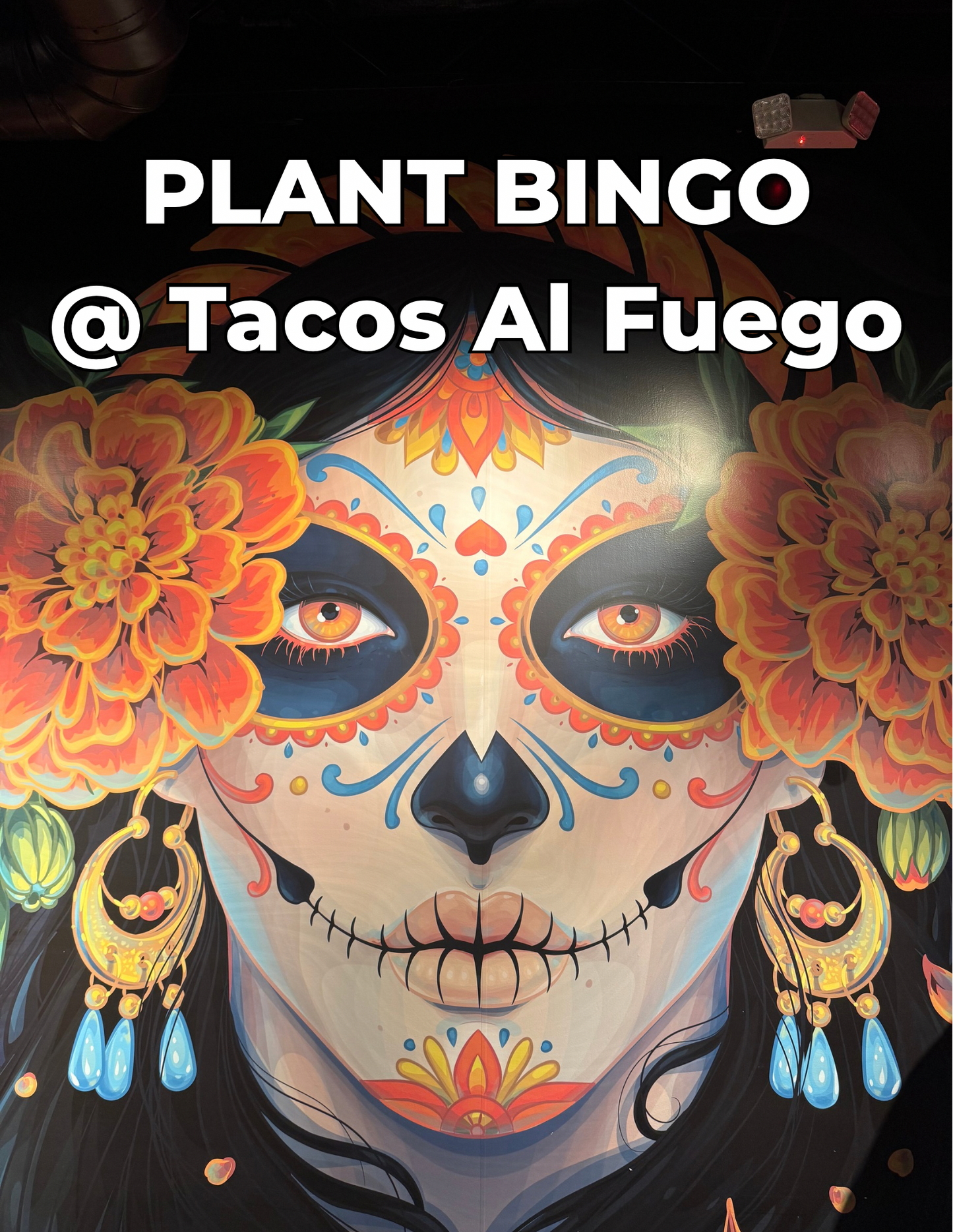 Plant Bingo 1/8/26 @ Tacos al Fuego