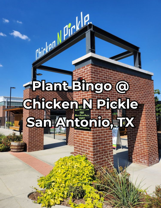 Plant Bingo 5/17/26 @ Chicken N Pickle San Antonio, TX