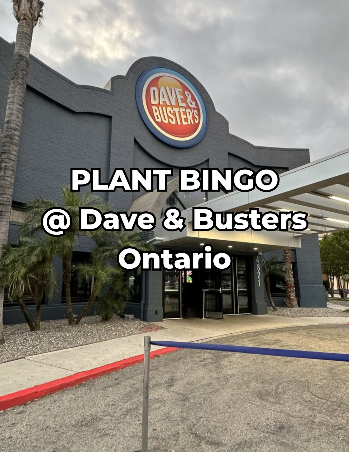 Plant Bingo 3/25/26 @ Dave and Busters Ontario