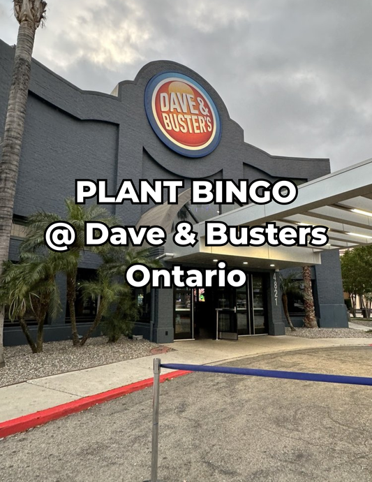 Plant Bingo 3/25/26 @ Dave and Busters Ontario