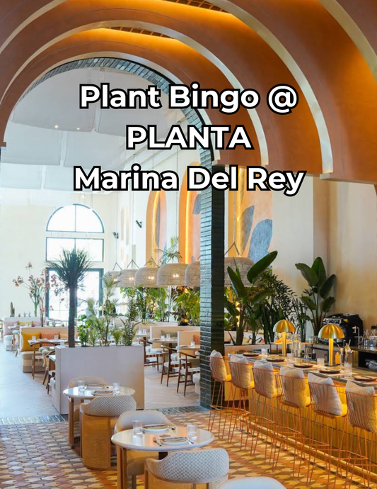 Plant Bingo 9/20/26 @ PLANTA Marina Del Rey