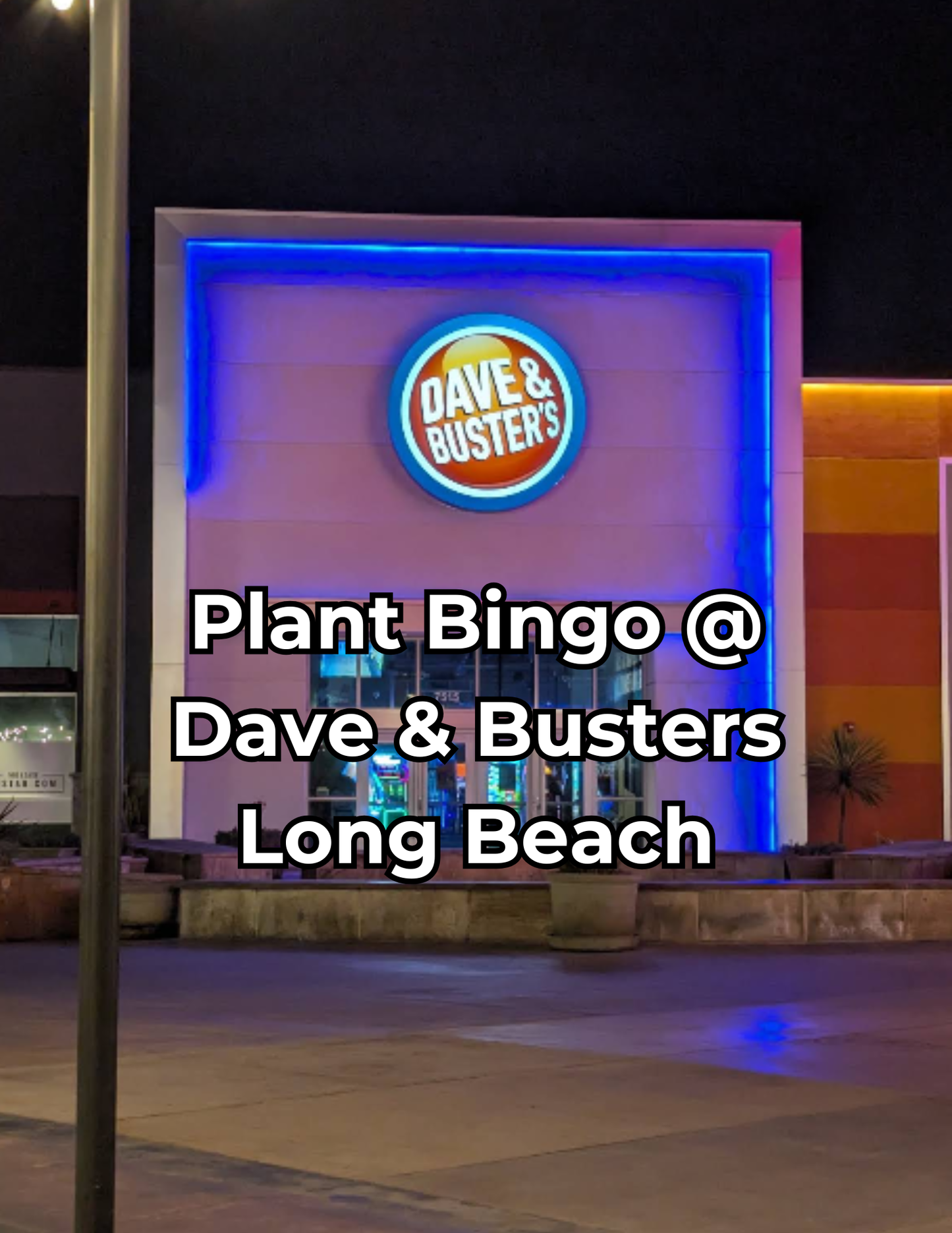Plant Bingo 9/30/26 @ Dave and Busters Long Beach